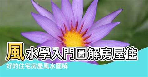 圖解風水入門|【風水 圖解】圖解風水好住宅 